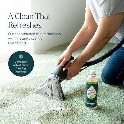 Carpet & Upholstery Shampoo