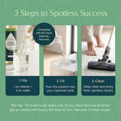 Carpet & Upholstery Shampoo