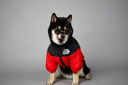 Winter Dog Down Jacket Vest – Warm Thick Coat for Small to Medium Dogs