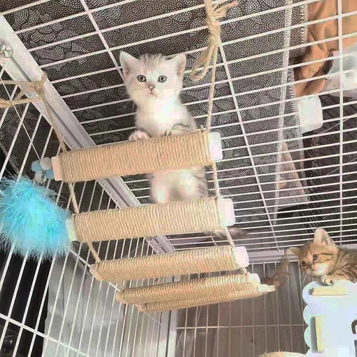 Cat Climbing Bridge & Ladder – Wooden Cat Tower with Sisal Rope Scratching Post for Indoor Cats
