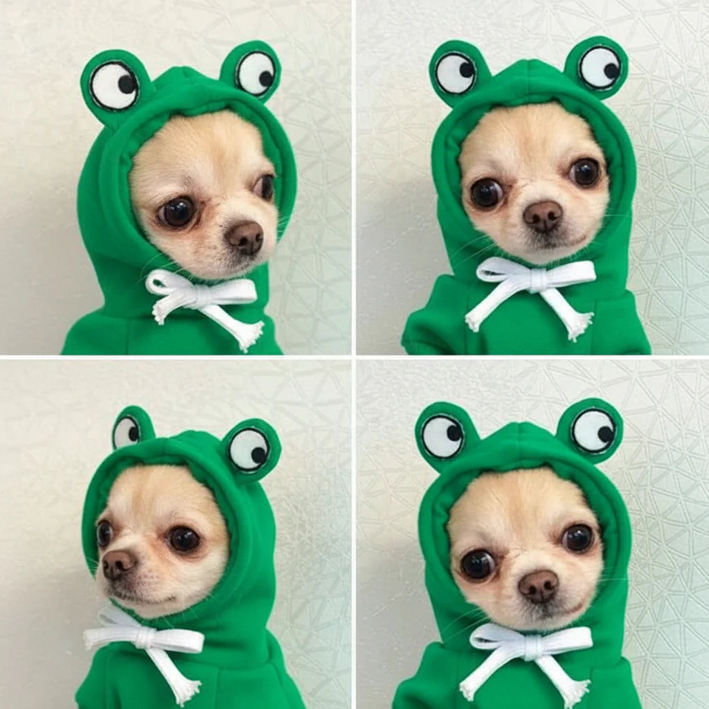 Cute Fruit Pet Hoodie Sweater – Warm Costume for Cats and Small Dogs