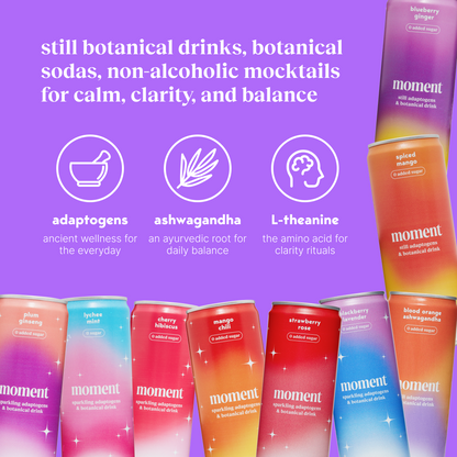 bestsellers (sparkling & still mocktail | 24 pack) TIKTOK