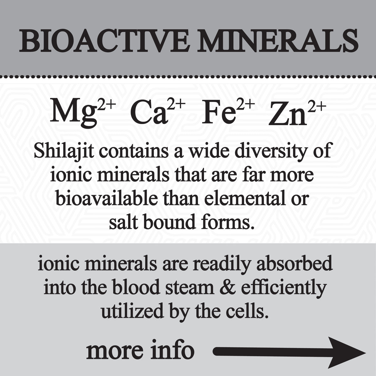 shilajit glycerite (60ml)