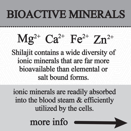 shilajit glycerite (60ml)