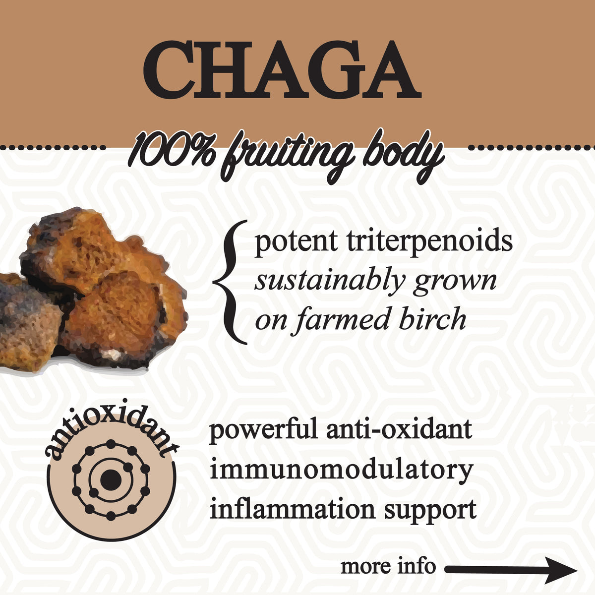 adaptive cacao. performance superfood.