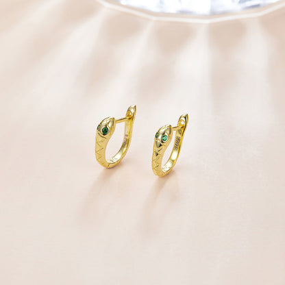 925 Sterling Silver Plated Platinum CZ Earrings for Women