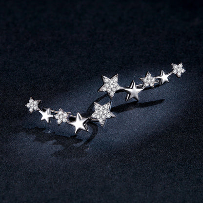 925 Sterling Silver Earrings with Plated Platinum and Pavé Setting CZ
