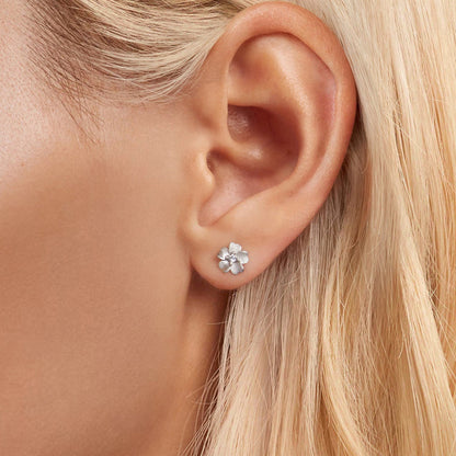 925 Sterling Silver Earrings with Pavé Setting CZ and White Gold Plating, 0.8cm for Women