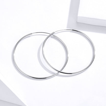 S925 Sterling Silver Earrings for Women