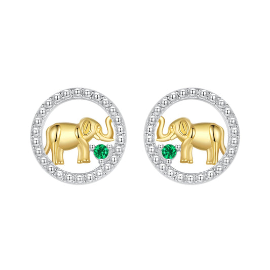 925 Sterling Silver Earrings with CZ in White Gold Plated for Women