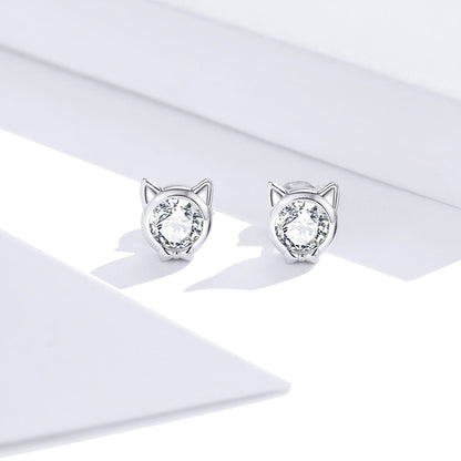 925 Sterling Silver Plated Platinum CZ Earrings for Women