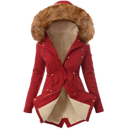 Slim Warm Hooded Padded Jacket for Women