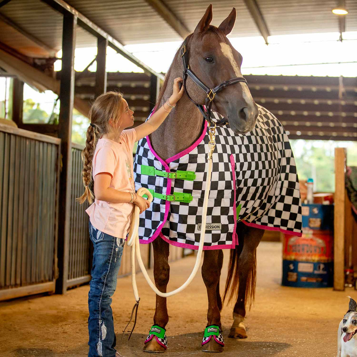 Jeffers Expression 1200 Denier Standard Neck Turnout Horse Blanket, 240 Gram