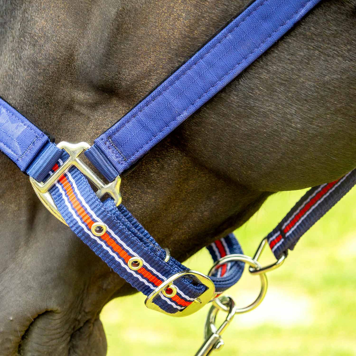 Jeffers Matching Horse Halter & Lead Rope 2 Piece Set, Full Size