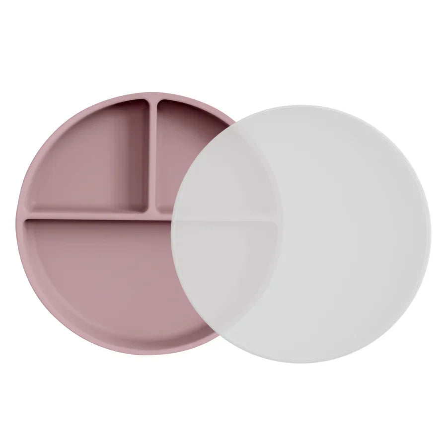 Suction Plate