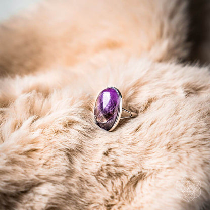 The Visualization Ring